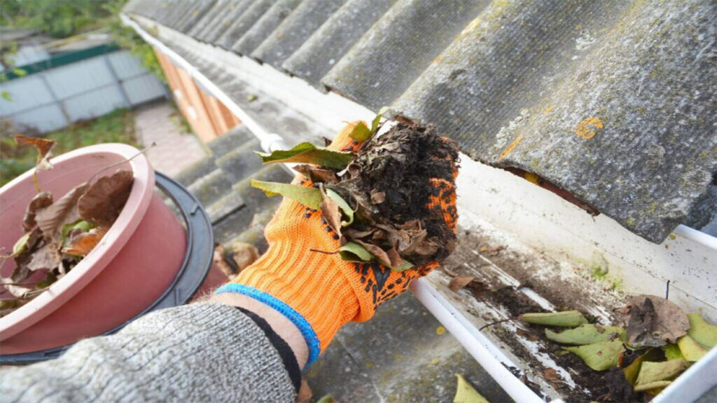 Leaky Roofs and Gutters