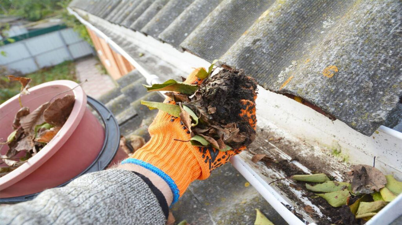 Leaky Roofs and Gutters