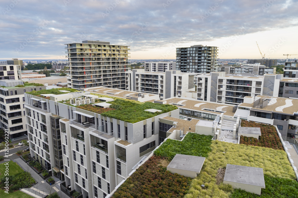 Green Roof