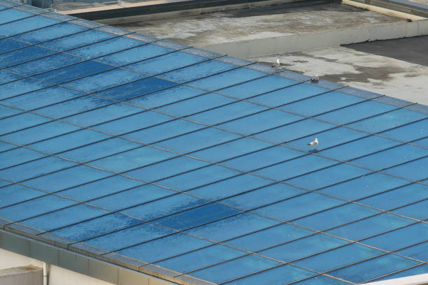 Thoroseal Waterproofing Services