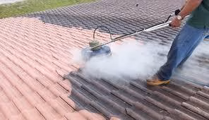 Roof Washing Service Near Me