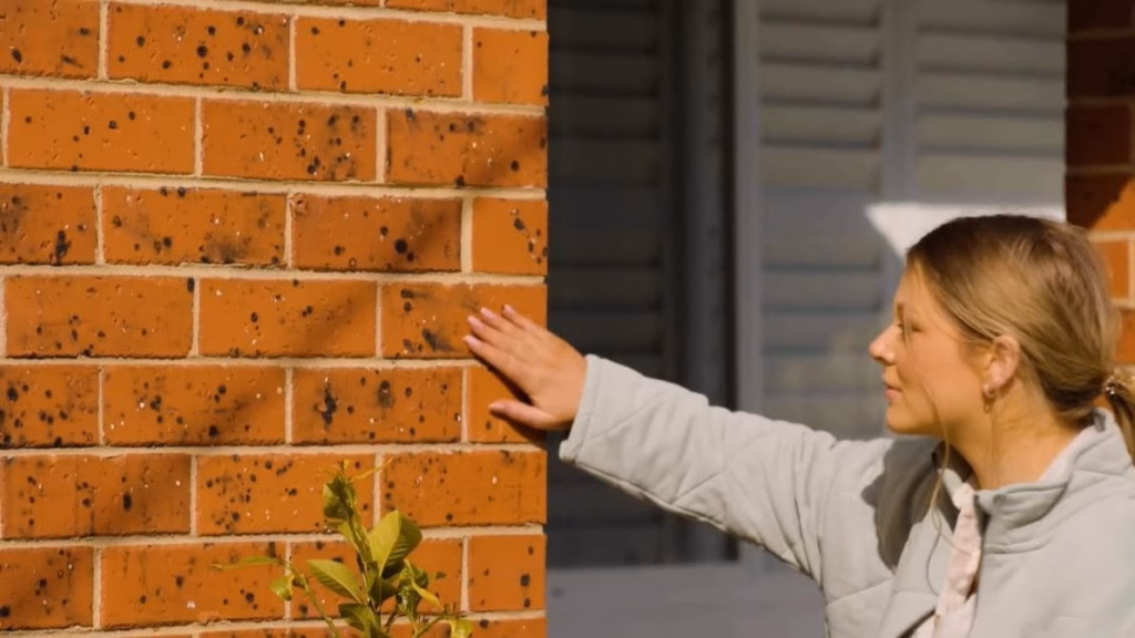 Restored brick masonry wall with repaired joints and clean brickwork, showcasing a durable and refreshed exterior finish